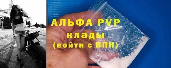 шишки Балабаново