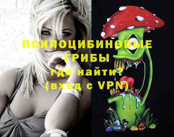 бошки Аркадак