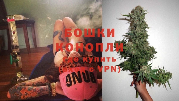 шишки Балабаново