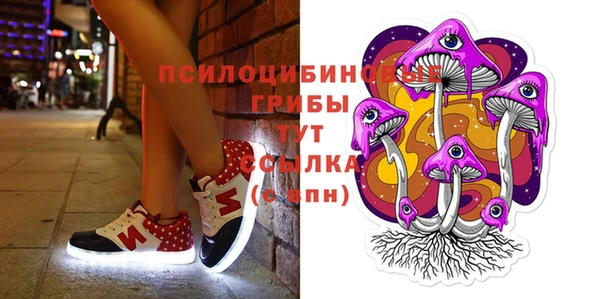 первитин Балахна