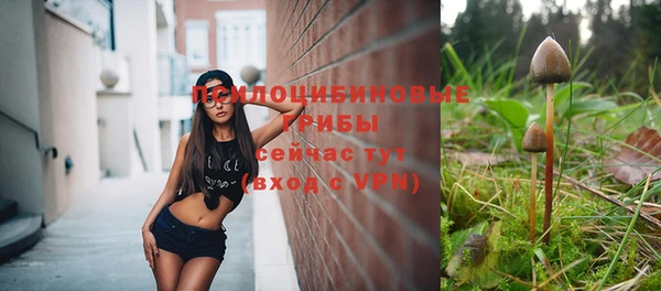 шишки Балабаново