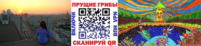 Галлюциногенные грибы Psilocybe  даркнет формула  Белая Холуница 